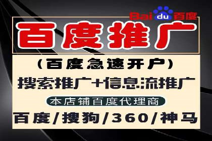 成功案例：竞价推广助力企业拓展海外市场